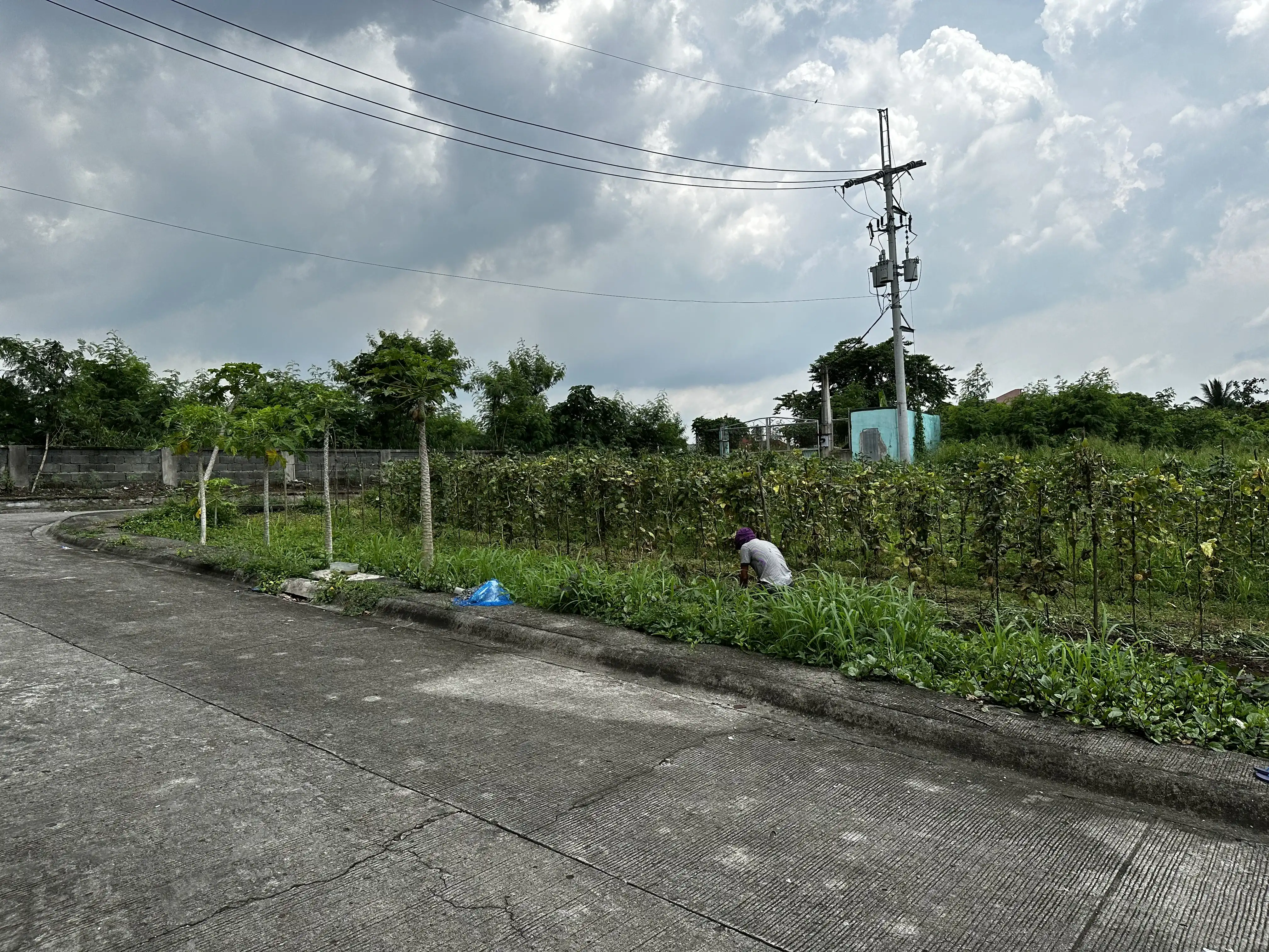Property 21